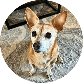 Customer photo of Peanut