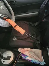 Guardix Driveway Lock in Sonia P.'s vehicle